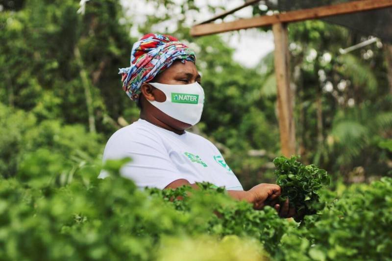 Vivia Cardoso, moradora da Comunidade do Abacatal, colhe o que viceja no seu Quintal Produtivo