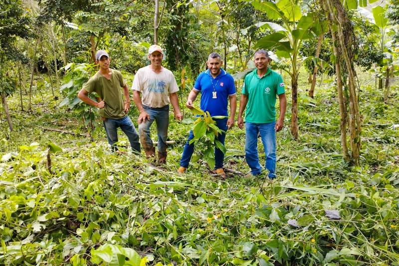 Equipe da Emater e agricultores atuam em conjunto para recuperar áreas degradadas em propriedades rurais de São Félix 