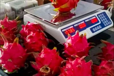De cor forte, a pitaya caiu no gosto do paraense
