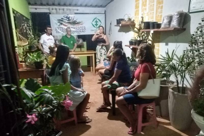 Trabalhadoras rurais tem papel fundamental na produção da agricultura familiar e também no cultivo de plantas ornamentais